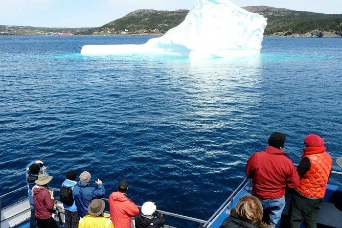 Newfoundland Puffin and Whale Watch Cruise - Boarding a catamaran built for viewing