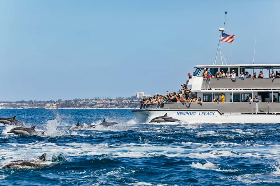 Newport Beach: 2-Hour Whale Watching Tour - Why this Newport Beach cruise is worth considering