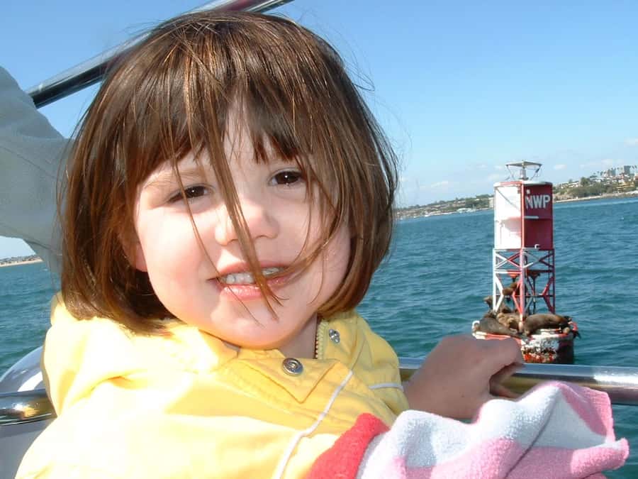 Newport Beach: 2-Hour Whale Watching Tour - Drinks, snacks, and the onboard setup
