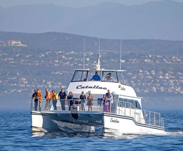 Newport Beach: Luxury Whale Watching Catamaran Cruise - Crystal Cove State Park from the water
