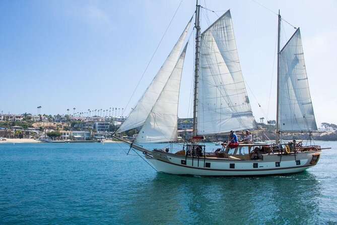 Newport Beach: Whale and Dolphin-Watching Cruise - Key points to know before you book
