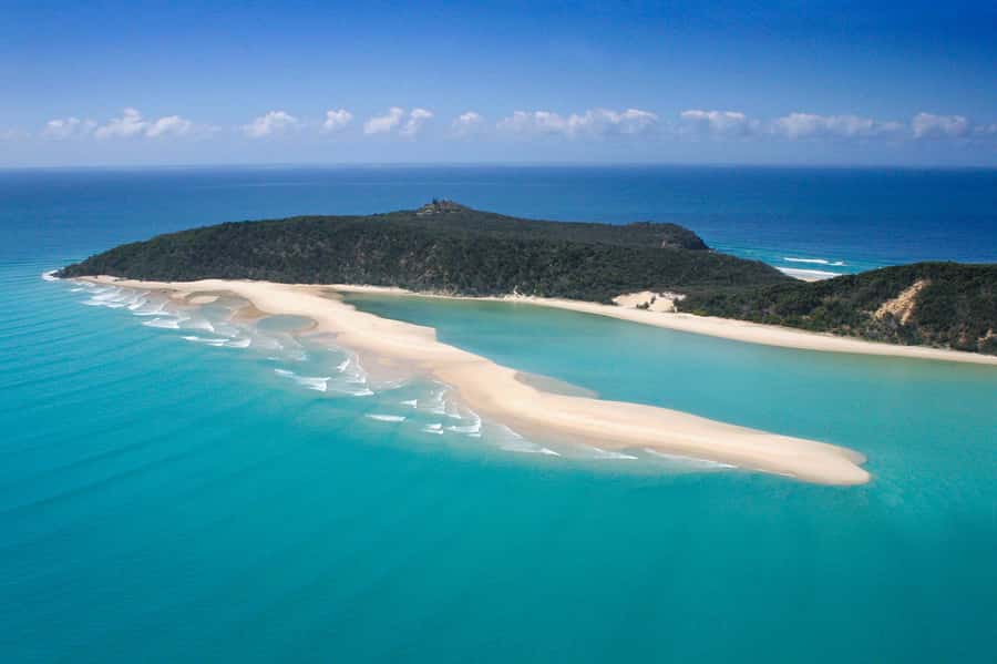 Noosa: Epic Whale Watching Ocean Kayak Tour & Beach 4X4 - Two hours of kayaking with the whales