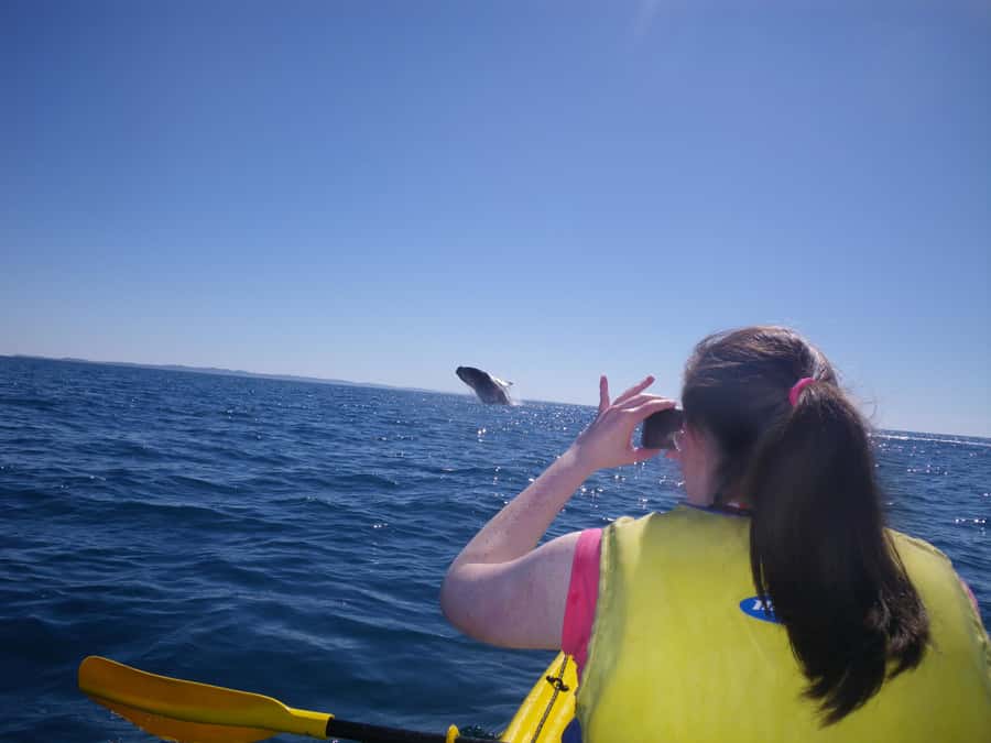 Noosa: Epic Whale Watching Ocean Kayak Tour & Beach 4X4 - Beach time, snacks, and the ride back