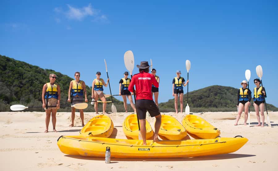 Noosa: Epic Whale Watching Ocean Kayak Tour & Beach 4X4 - Who should book this outing