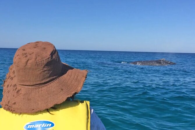Noosa: Epic Whale Watching On Ocean Kayaks & Beach 4X4 Tour - Crossing to Noosa North Shore