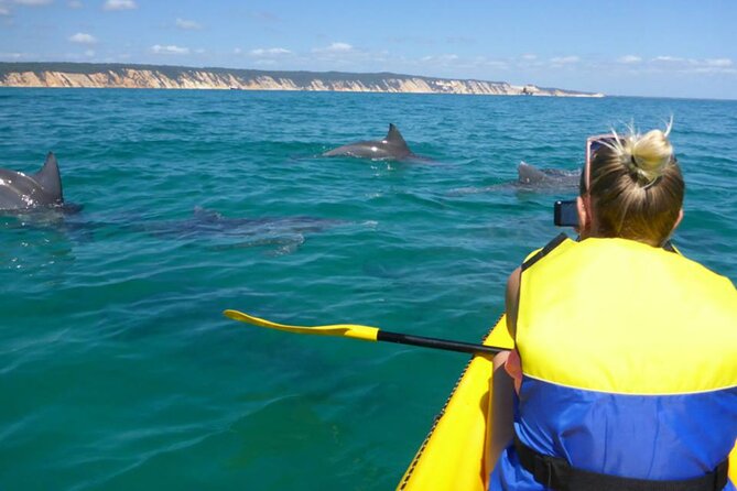 Noosa: Epic Whale Watching On Ocean Kayaks & Beach 4X4 Tour - The 4X4 beach drive through Great Sandy National Park