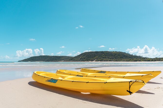 Noosa: Epic Whale Watching On Ocean Kayaks & Beach 4X4 Tour - Kayaking around Double Island Point