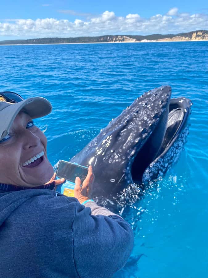 Noosa; Noosa Ocean Adventures - Whale Watching - Why Noosa is a fine place to watch whales