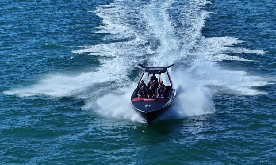 Noosa; Noosa Ocean Adventures - Whale Watching - Is the $70 price good value?