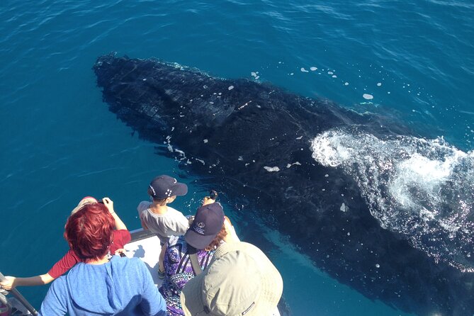 Noosa Ocean Adventures: Whale Watch - Leaving Noosaville for the Noosa Bar