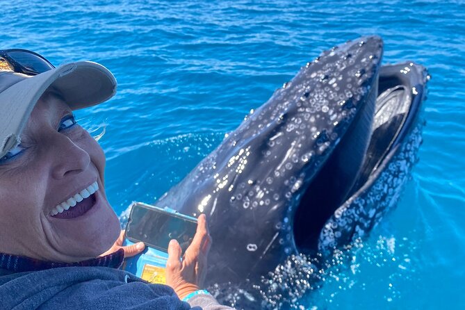 Noosa Whale Watching Cruise – Humpback Whale Adventure - Weather, spray, and what to wear
