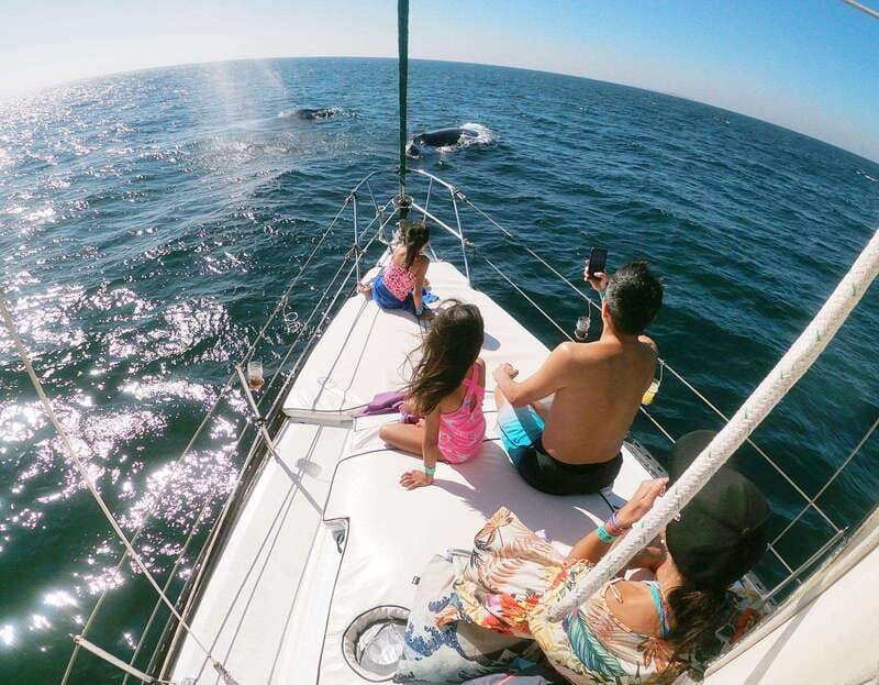 Nuevo Vallarta: Whale Watching by Sailboat Tour - Key points to know before you book