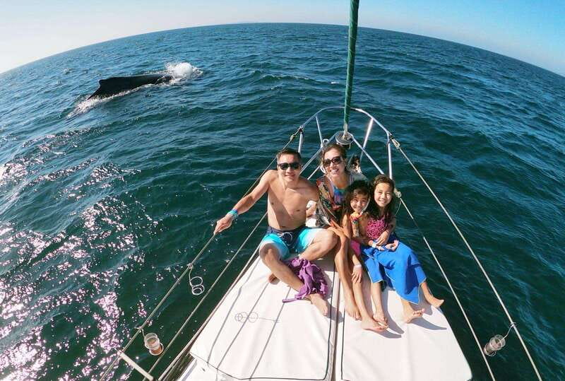 Nuevo Vallarta: Whale Watching by Sailboat Tour - Why a sailboat changes the whale-watching experience