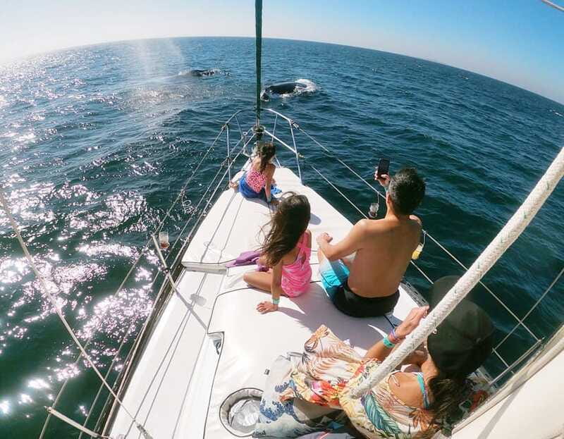 Nuevo Vallarta: Whale Watching by Sailboat Tour - The practical limits of a morning at sea