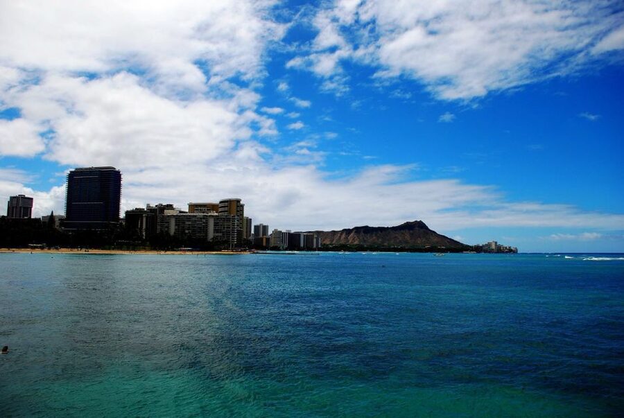 Oahu: Waikiki Eco-Friendly Afternoon Whale Watching Trip - Key points to know before booking