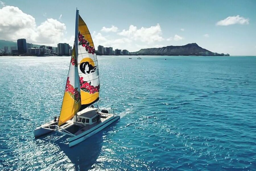 Oahu: Waikiki Eco-Friendly Morning Whale Watching Cruise - Key Points Before You Book
