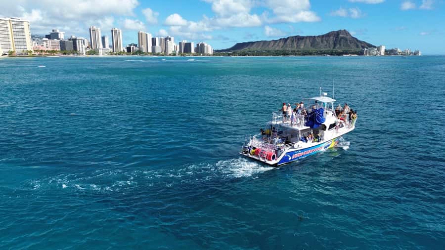 Oahu: Whale Watching Cruise Whales Guaranteed - Waikiki Beach from the sea