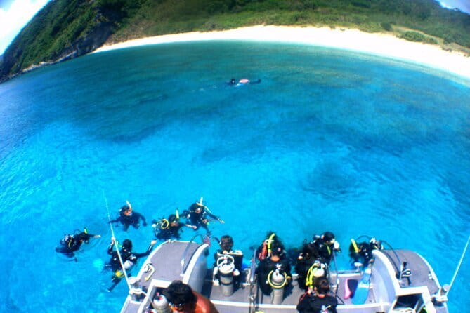 Okinawa:Kerama Islands experience Diving/Snorkeling/WhaleWatching - Coral, fish, turtles, and clear water