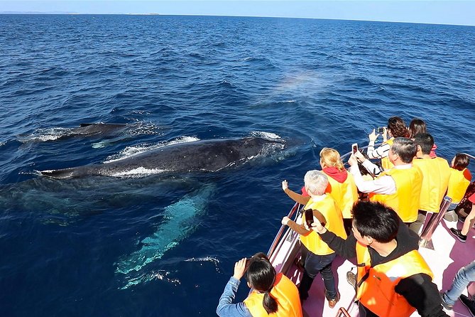 Okinawa Whale Watching From Naha - Leaving Naha for the Kerama Islands
