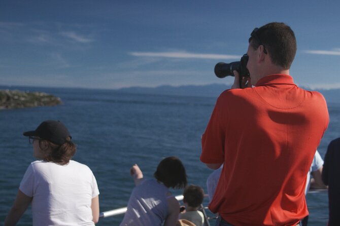 Only Wildlife and Whale Watching Tour Leaving from Seattle - Standard seats, premium seats, and outdoor viewing