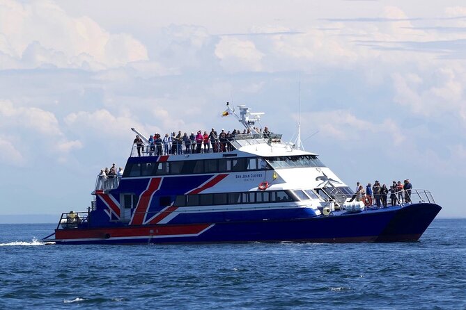 Only Wildlife and Whale Watching Tour Leaving from Seattle - Who will enjoy this cruise most