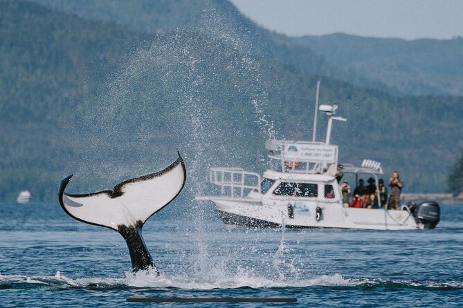 Orca Cove Sea Kayaking - Leaving Ketchikan by fast boat