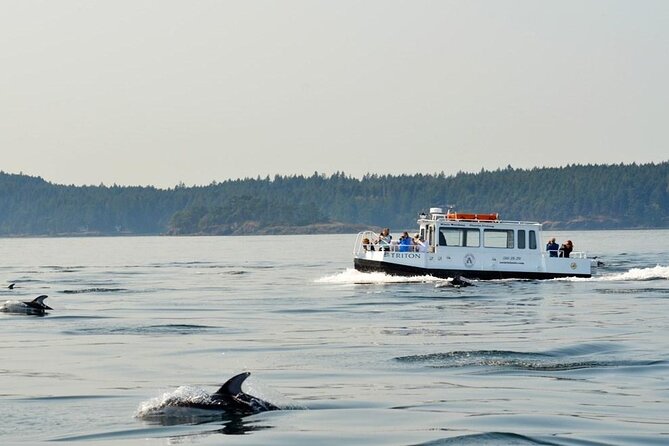 Orcas Island Whale Watching - The crew makes the difference
