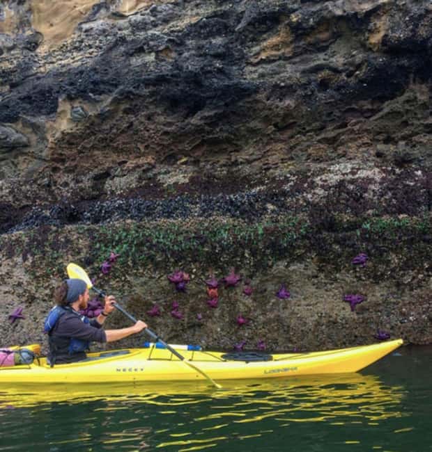 Orcas Island: Wildlife Spotting Kayak Tour - Key Points Before You Paddle