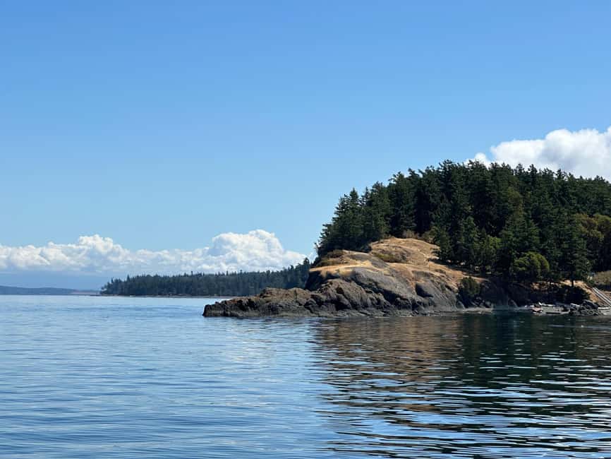 Orcas Island: Wildlife Spotting Kayak Tour - Starting in Eastsound and Reaching West Beach