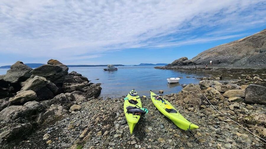Orcas Island: Wildlife Spotting Kayak Tour - Should You Book the Orcas Island Kayak Tour?