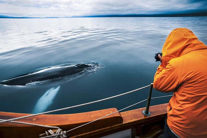 Original Carbon Neutral Whale Watching Tour from Húsavík - Sailing Húsavík’s Carbon-Neutral Whale Boat