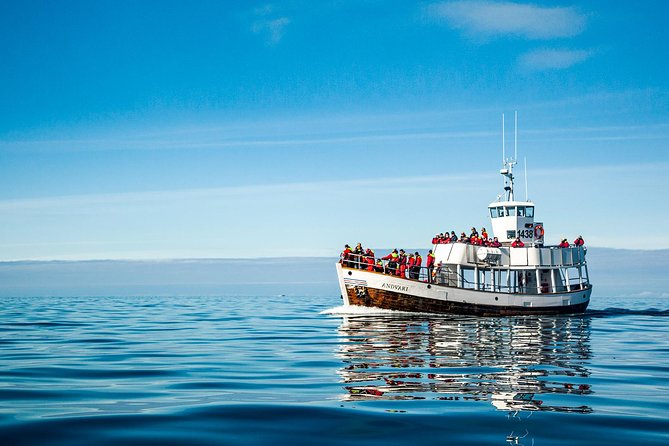 Original Carbon Neutral Whale Watching Tour from Húsavík - Booking Timing and Practical Choices