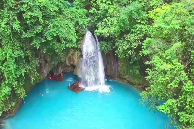 Oslob Whale Shark and Kawasan Falls Day Tour - Why this Cebu day trip packs in so much