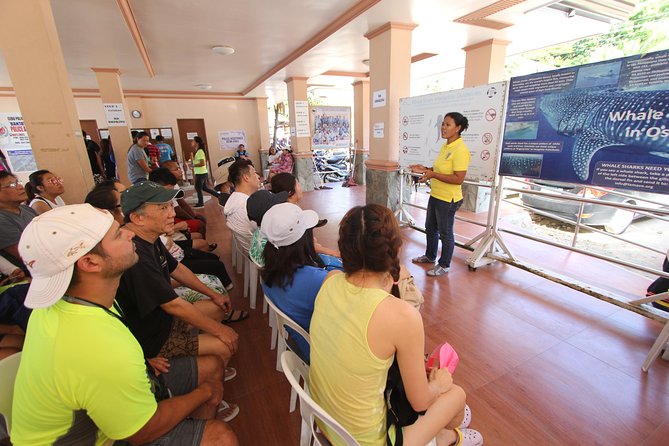 Oslob Whale Shark and Kawasan Falls Day Tour - Kawasan Falls and its three swimming pools