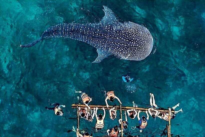Oslob: Whale Shark Encounter, Ka-Treasure Falls & Simala - Ka Treasure Falls for water and green surroundings