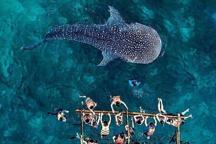 Oslob: Whale Shark Encounter, Ka-Treasure Falls & Simala - The early ride and a proper Filipino breakfast