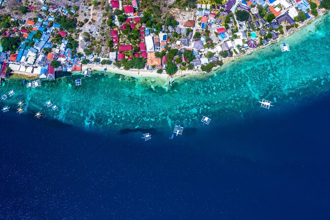 Oslob Whale Shark Private Tour with Sumilon & Tumalog Falls - Who will enjoy this long Cebu day