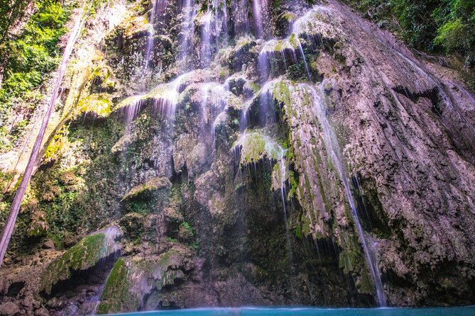 Oslob Whale Shark Private Tour with Sumilon & Tumalog Falls - Practical preparation for the 3 a.m. start