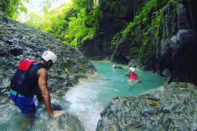 Oslob Whale shark swimming & Canyoneering Adventure, Kawasan Falls Day Tour - Why this Cebu combination works