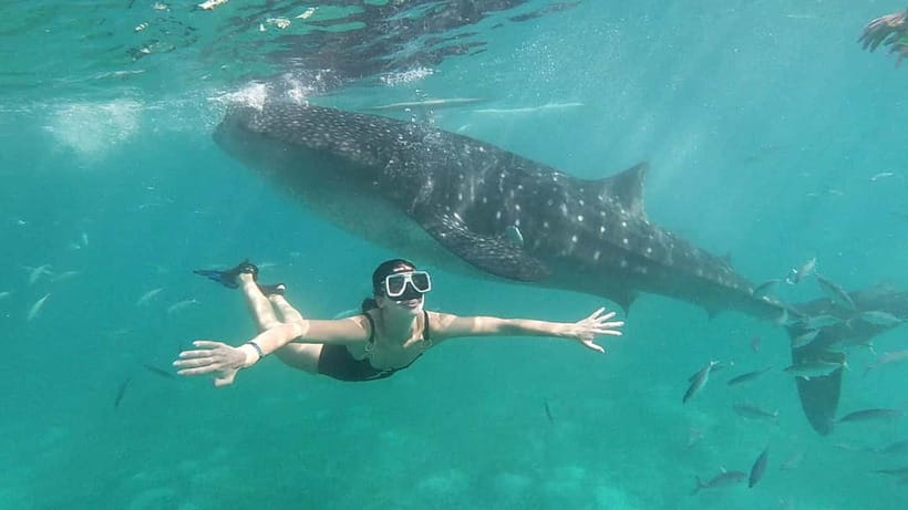Oslob: Whale Shark Tour with Sumilon & Moalboal Snorkeling - Sumilon Island and the changing sandbar