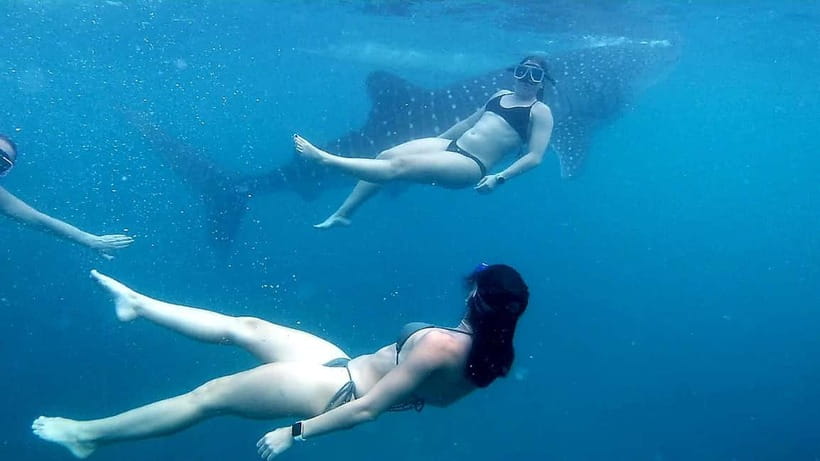 Oslob: Whale Shark Tour with Sumilon & Moalboal Snorkeling - What to pack and how to make the day better