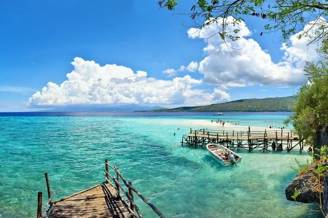 Oslob Whale Shark & Tumalog Waterfalls & Sumilon Sandbar - The Oslob Whale Shark Morning