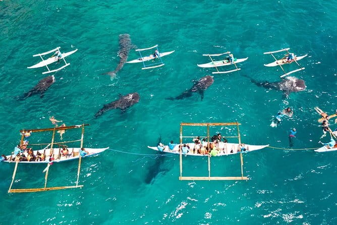 Oslob Whale Shark & Tumalog Waterfalls & Sumilon Sandbar - Tumalog Falls for a Cool Reset
