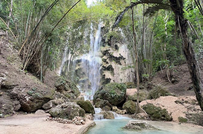 Oslob Whale Shark Watching + Kawasan Falls Day Tour - What the $130 price really buys
