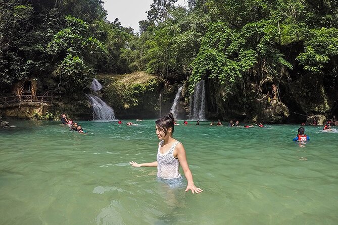 Oslob Whale Shark Watching + Kawasan Falls Day Tour - Meeting the whale sharks at Oslob