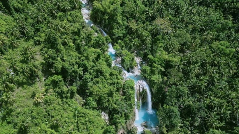 Oslob: Whale Sharks, Inambakan Falls & Moalboal Sardines - Why this Cebu day trip works