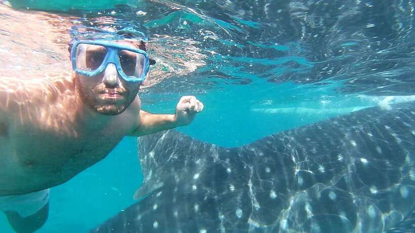 Oslob: Whale Sharks, Inambakan Falls & Moalboal Sardines - Breakfast and the useful pause in Oslob