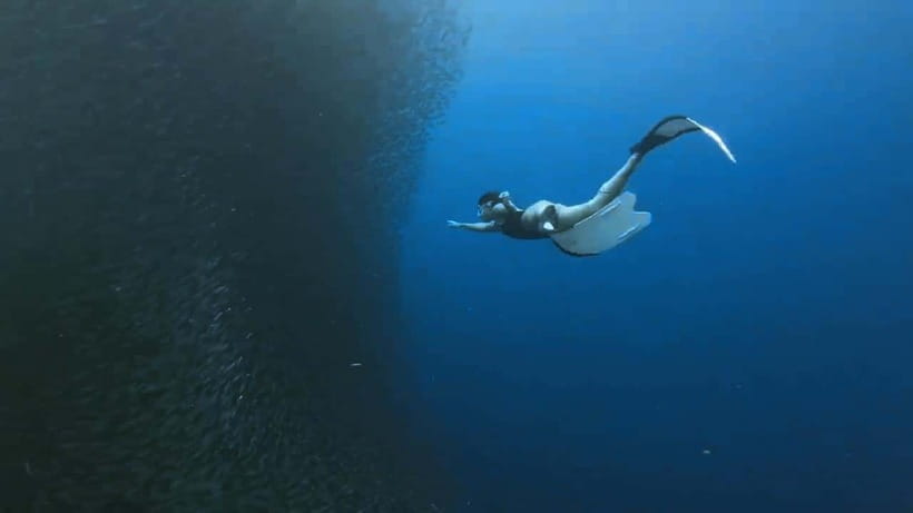 Oslob: Whale Sharks, Inambakan Falls & Moalboal Sardines - What the $132 price really covers