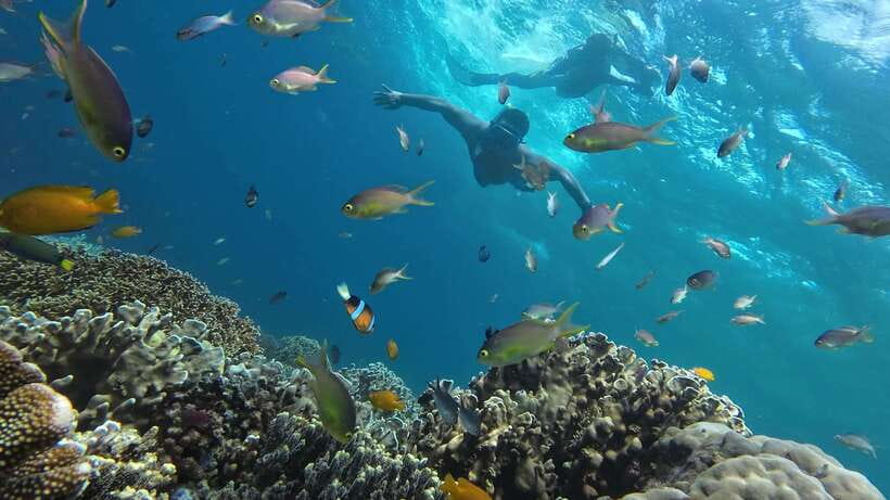 Oslob: Whale Sharks, Inambakan Falls & Moalboal Sardines - The real schedule: expect fourteen hours