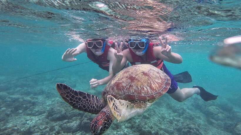 Oslob: Whale Sharks, Inambakan Falls & Moalboal Sardines - Who should book this experience
